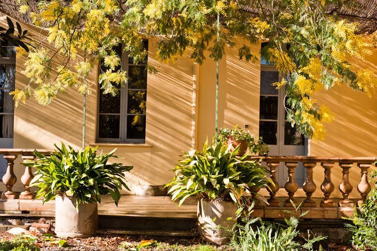 Bed & Breakfast Les Buis Ille-sur-Tet